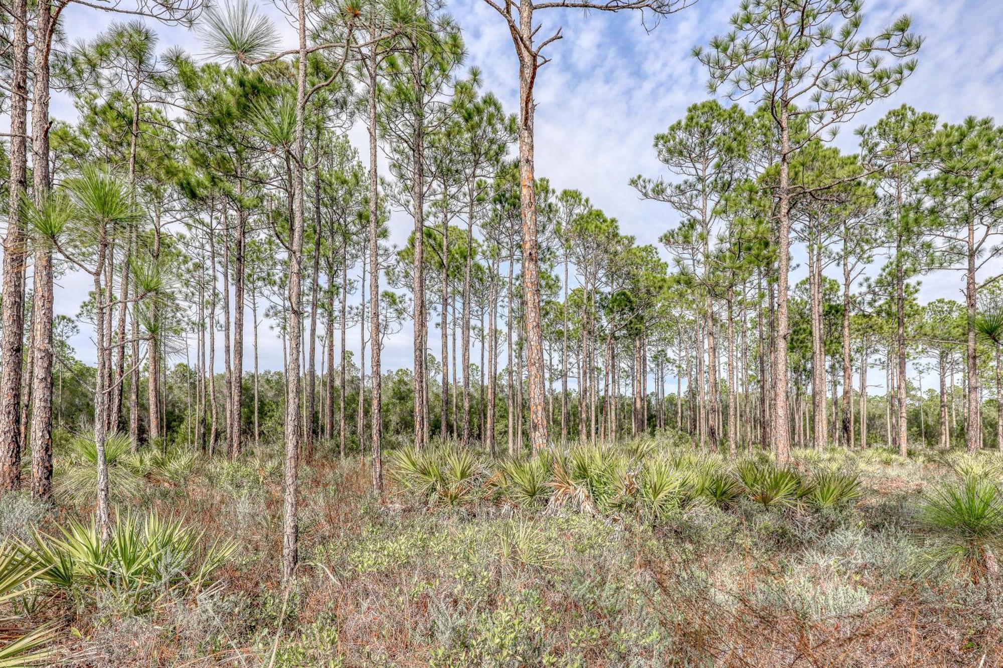 Village Of South Walton B247 Inlet Beach Luaran gambar
